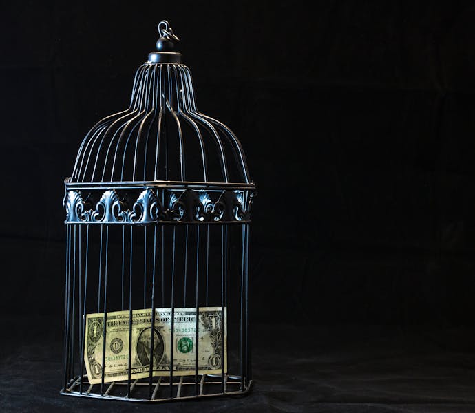 Cover for Understanding Form 8.5 (EPT/RI): Public Dealing Disclosures for Investment Risk Management